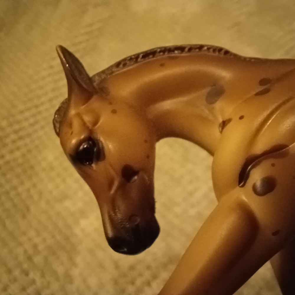 Breyer Dakotah - Picture 2 of 15